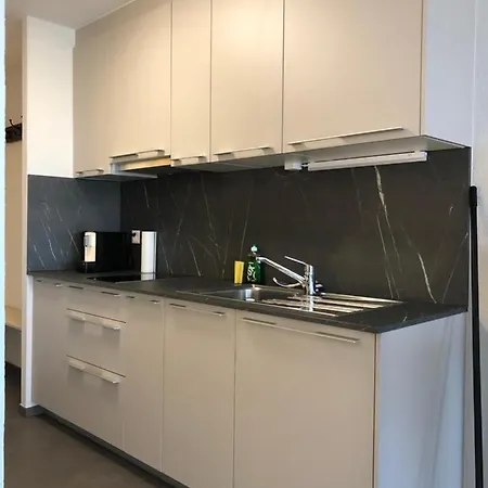 Amazing In Lausanne Close To Epfl And Unil Ecublens (Vaud)