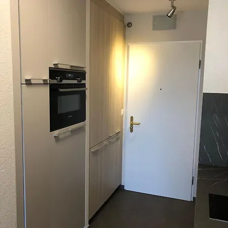 Vakantiehuis Amazing In Lausanne Close To Epfl And Unil Ecublens (Vaud)