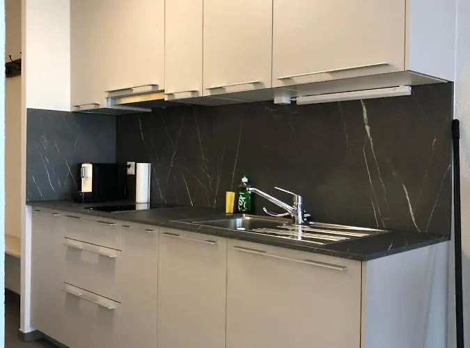 Amazing In Lausanne Close To Epfl And Unil Ecublens (Vaud)