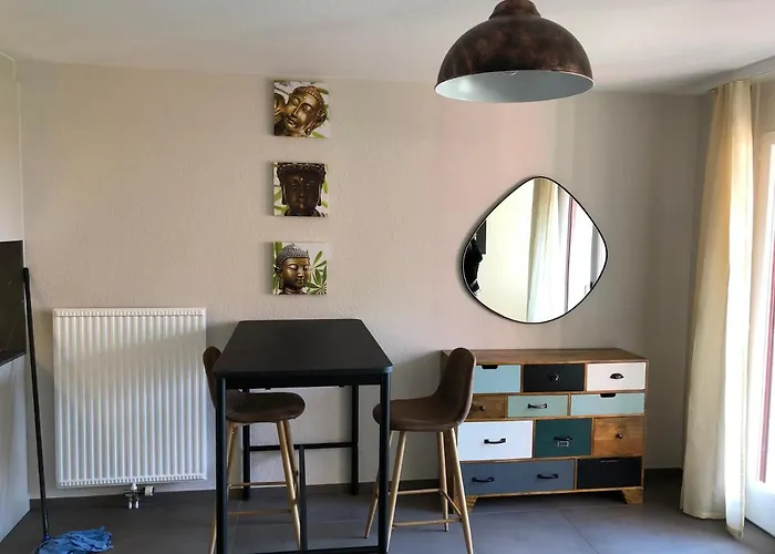 Amazing In Lausanne Close To Epfl And Unil Casa de Férias