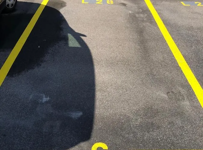 Amazing In Lausanne Close To Epfl And Unil