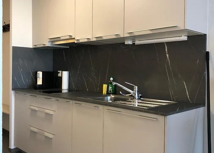 Amazing In Lausanne Close To Epfl And Unil Casa de Férias