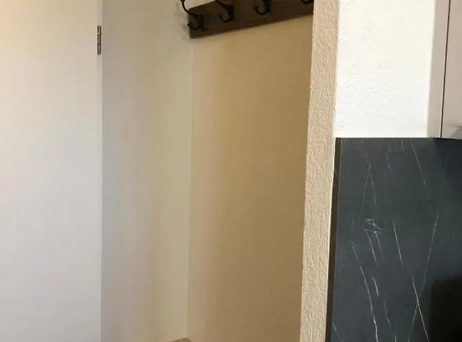 Amazing In Lausanne Close To Epfl And Unil 別荘