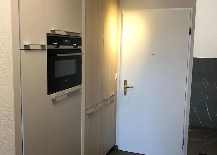 別荘 Amazing In Lausanne Close To Epfl And Unil Ecublens (Vaud)